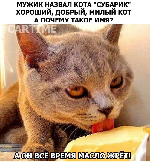 Картинки всяческие 10.01.2022