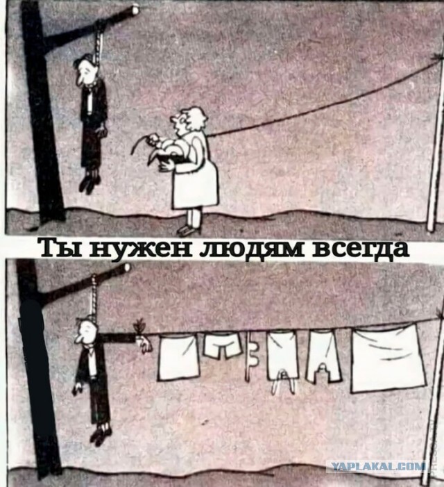 Забавные и веселые картинки