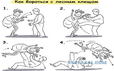 Валера и Эльвира (различия)