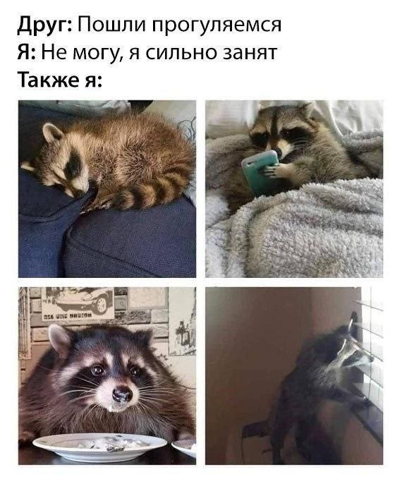 Попались, паразиты