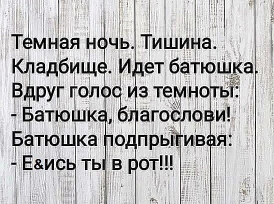 Весёлый полтишок 08.11.22