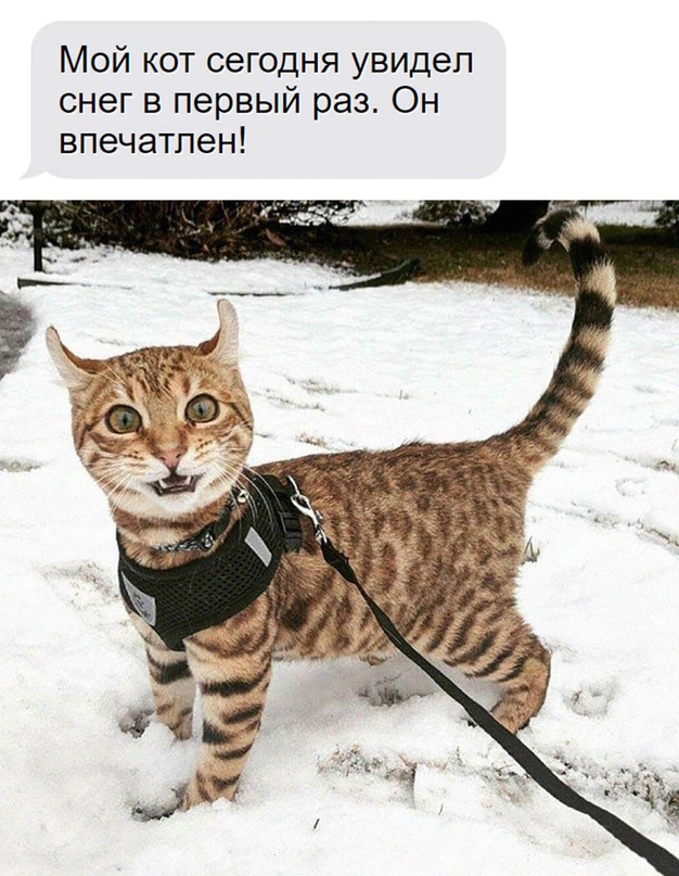 Картинки и мемы, всем хороших выходных