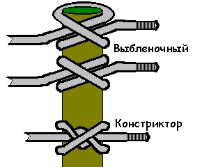 Хорошо завязал