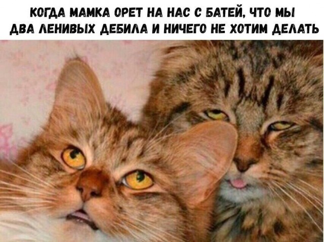 Немного картинок для настроения - 153