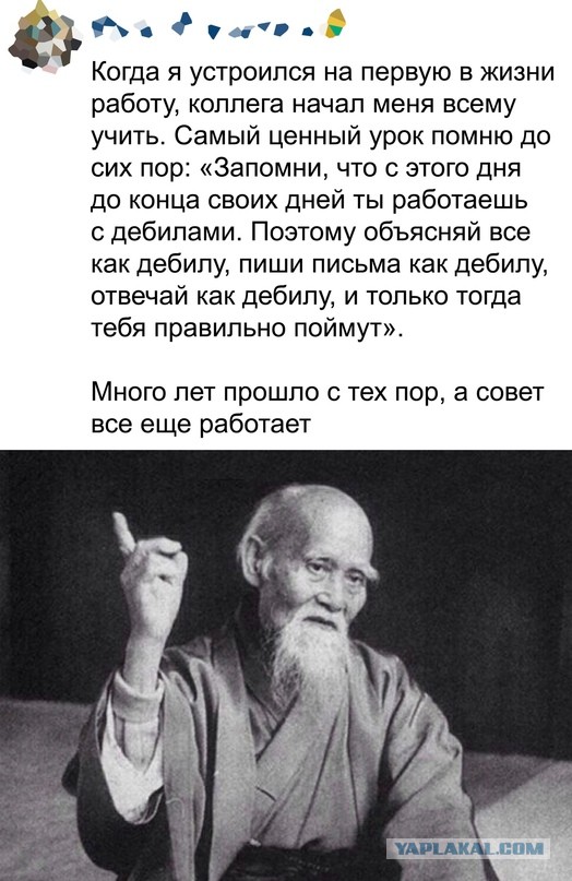 Весёлый полтишок 30.03.23