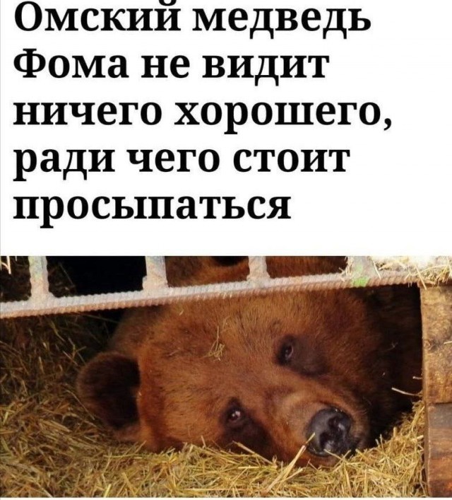 Картинки и мемы, всем хороших выходных