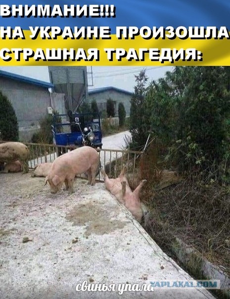 Украина исчезнет, потому что она «не нужна никому на планете», заявил Медведев