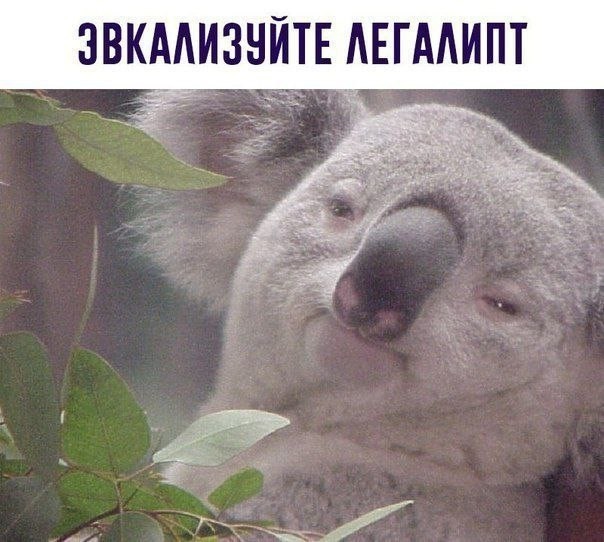Подборка всякое-разное, местами лёгкая наркомания