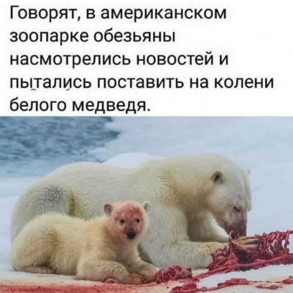 Так себе картинки 17.07.23