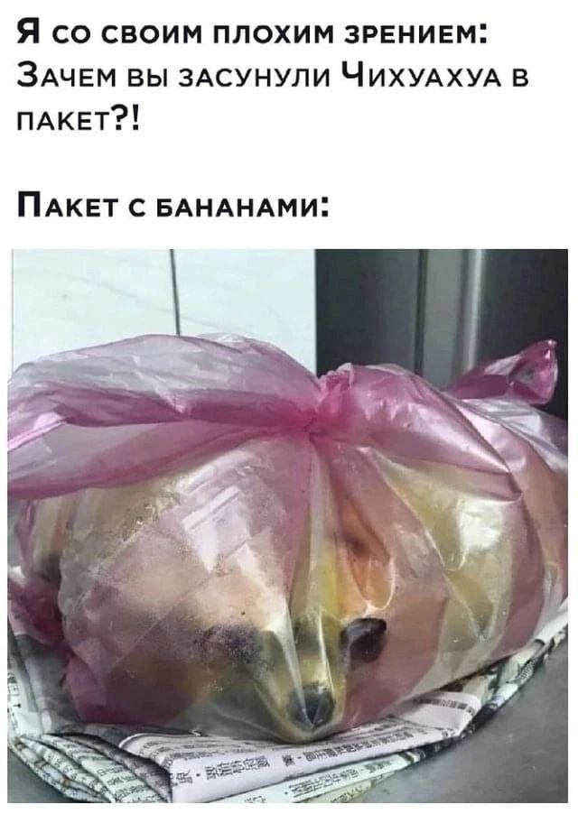 Отряд быстрого деградирования