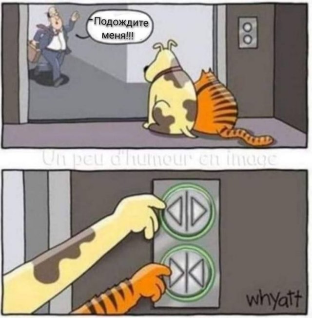 Картинки из Дристоля
