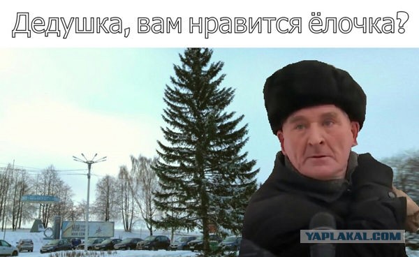 Жители подмосковного Дзержинского просят администрацию и власти области убрать с площади «уродливую» ёлку