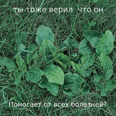 Перекури, ностальгни по разным временам