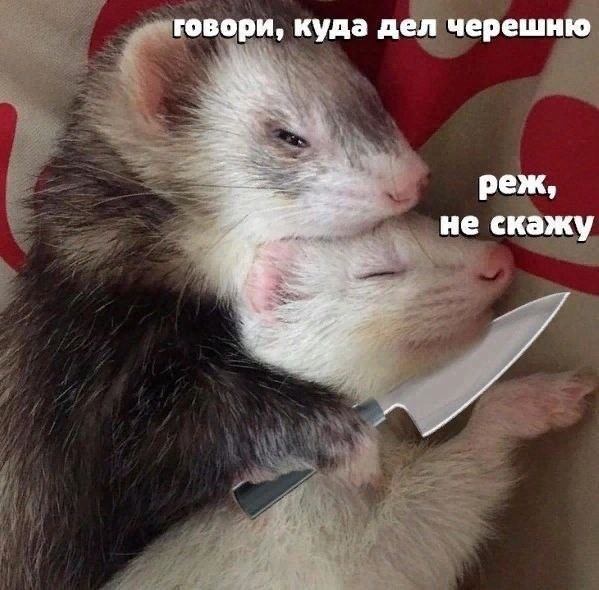 Всего понемногу. От 22.07.24