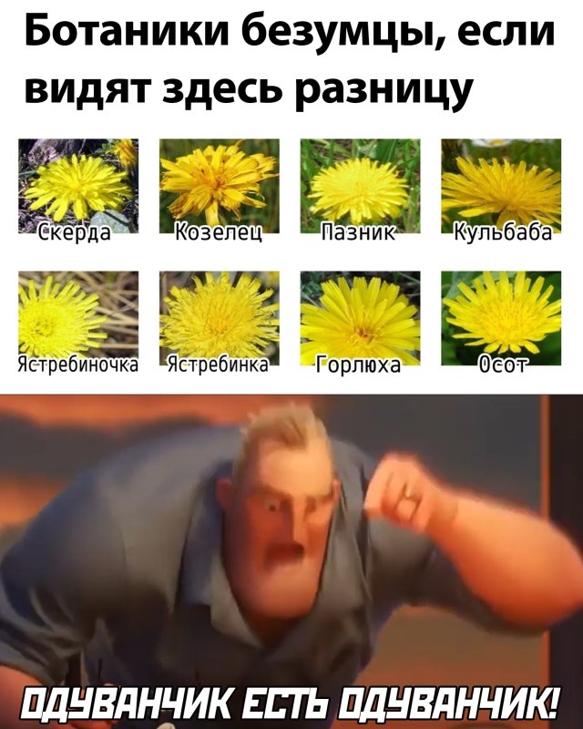 Завалялось тут случайно немного забавных картинок