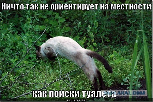 Размышления у параднага подъезда