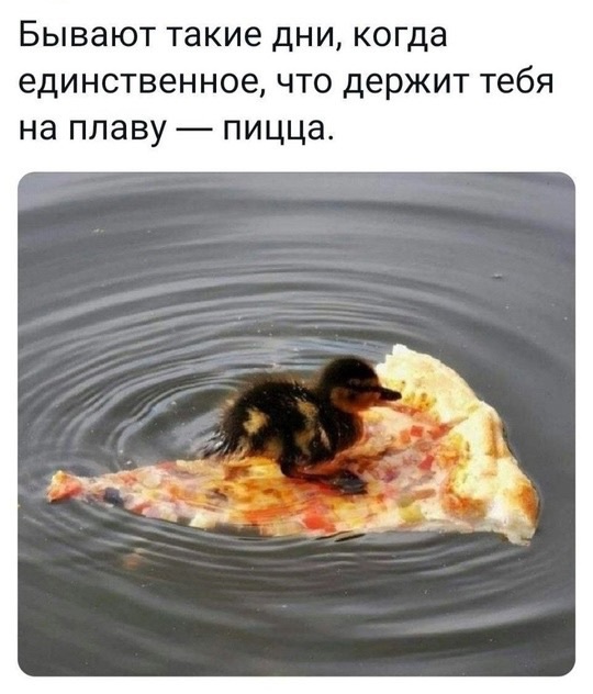 Так себе картинки 27.10.24