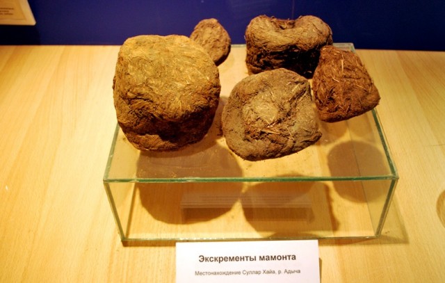 Двадцать лет совместной жизни?