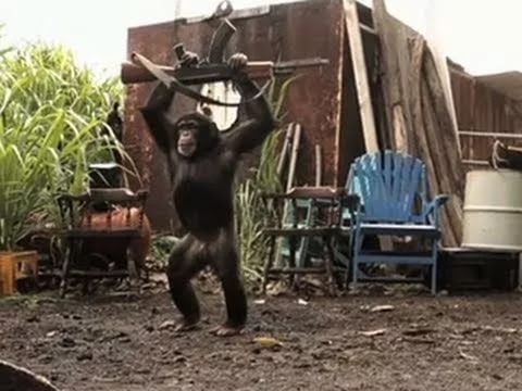 Обезьяна на гелике