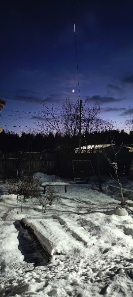 Венера в самом соку