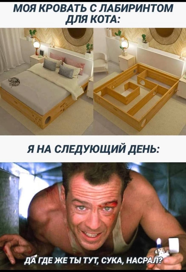 Веселые картинки в маленькую пятницу (12.02)