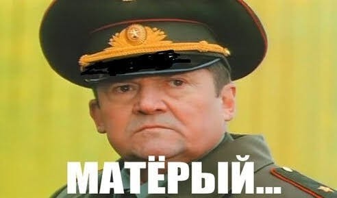 Манул Тимофей успел похудеть к лету