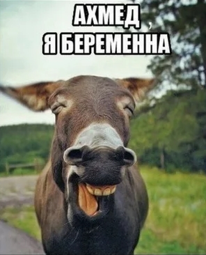 Арбузика!