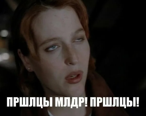 Шесть котят родилось у манула Снежинки в Новосибирском зоопарке!