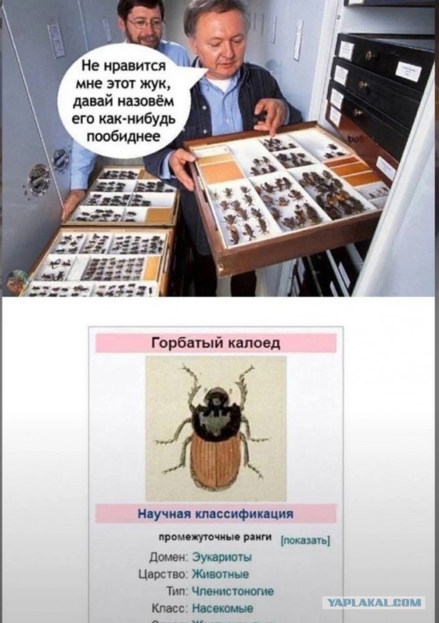 Немного деградации