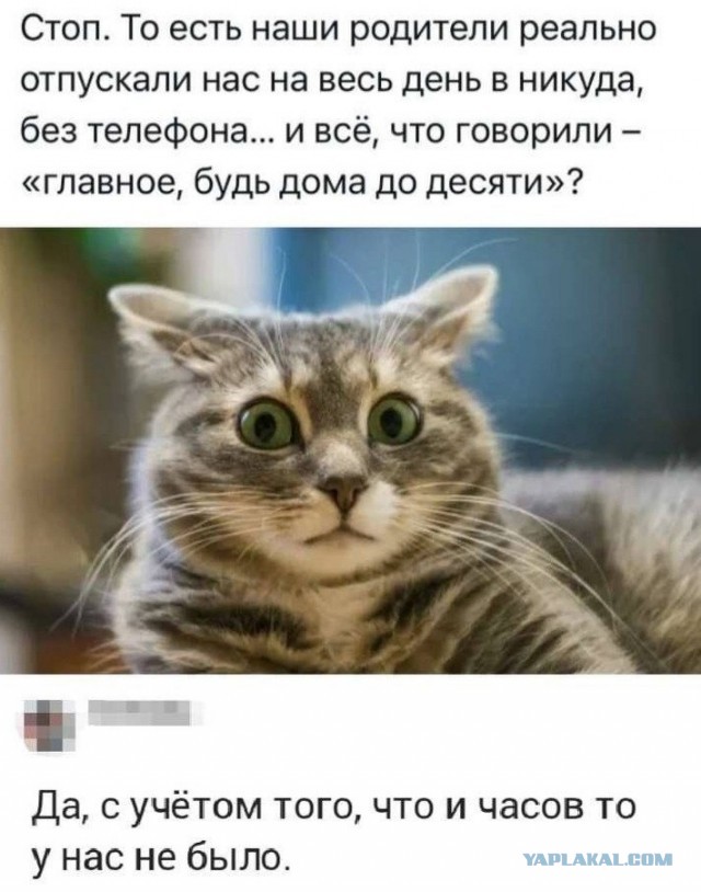Так себе картинки 09.07.25