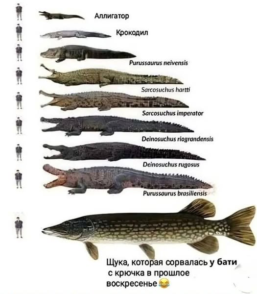Пятничные бояны