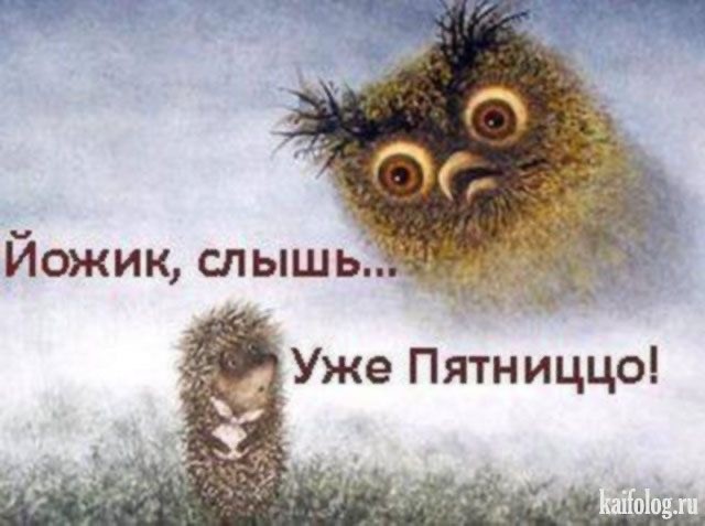 Прикольные и просо красивые картинки 05.09.2025