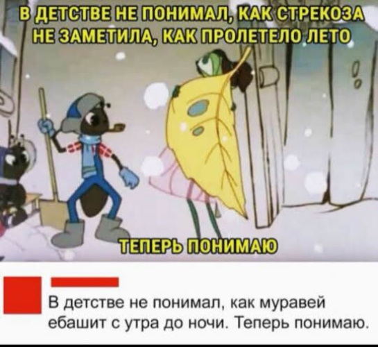 Стрекозы поедают комаров, которые вылетают из канализационного люка