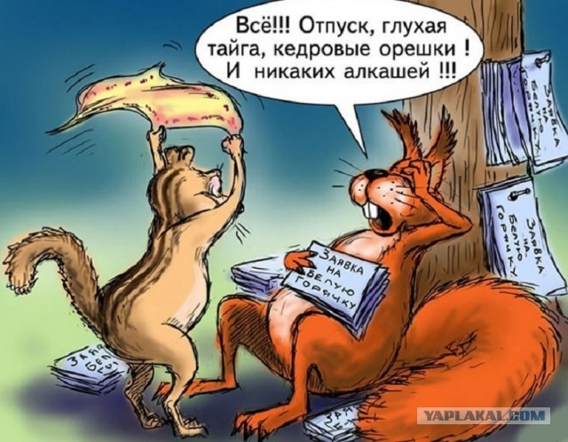 Баянистой пост