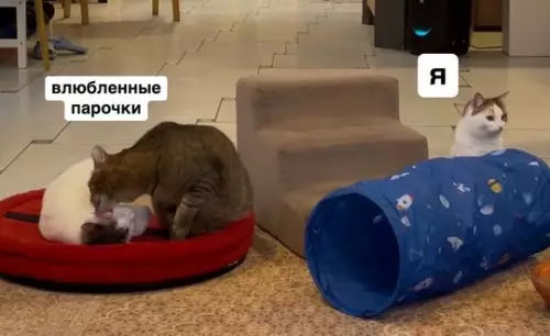 Картиночки, баянчики 09 марта