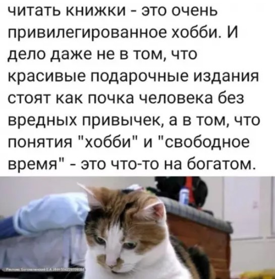 Картиночки, баянчики 06 апреля