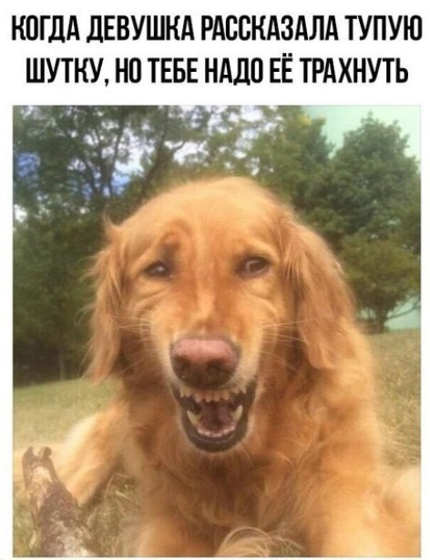 20997712.jpg