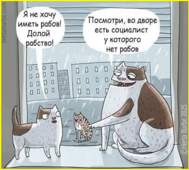 К котовторнику: подборка картинок-баянов с котиками и про котиков. Выпуск 40.