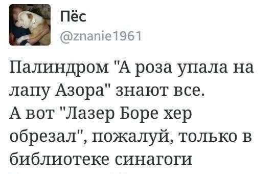 Картинки для деградации 235 (разной степени свежести)