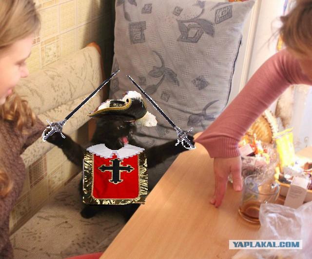 Стоять бояться!