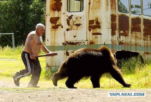 Мужик тащит медведя под шлагбаум!