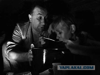 Любимая киноеда