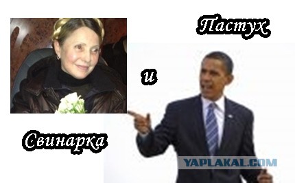 На Майдане посадили огород и строят свинарник.