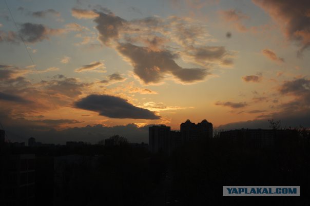 Я хочу замуж