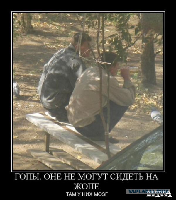 Картинки