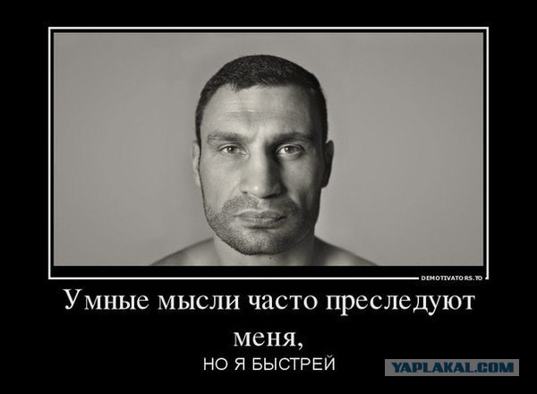 Подборка веселых картинок
