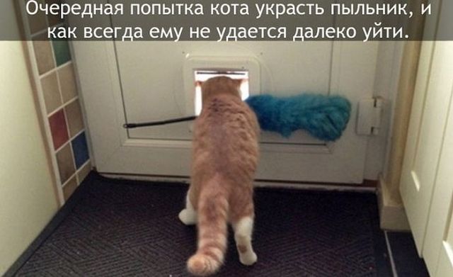 Хватит негатива на сегодня, пятница же!