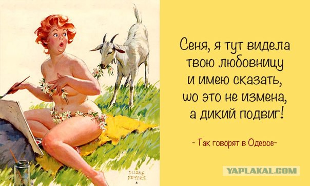 Веселые картинки