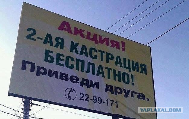 Весёлое из сети