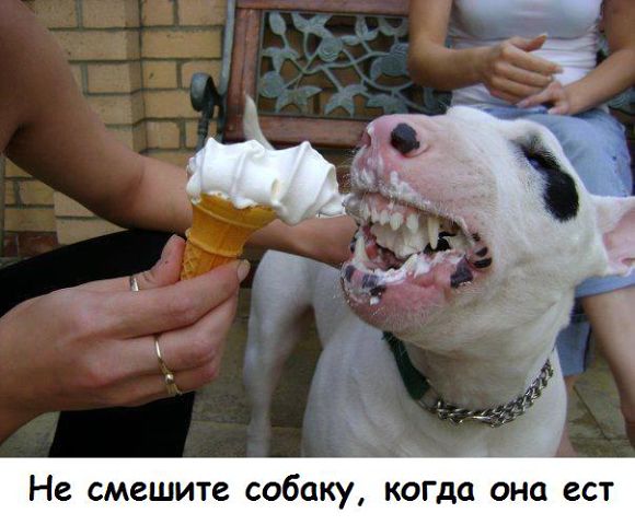 Ты чего дерзкий такой?!